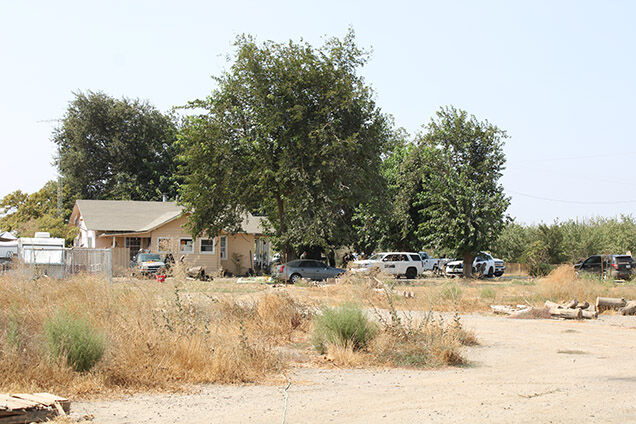 Illegal marijuana grow operations dismantled